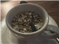mushroom chai
